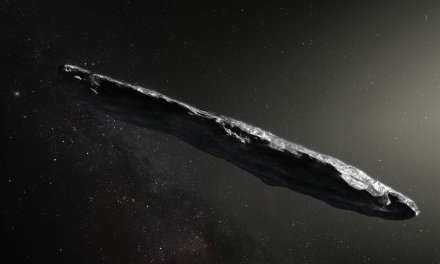 What Was Oumuamua? The Object From Another Solar System